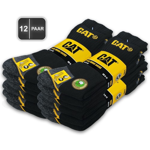 Paar cat caterpillar - ♥,