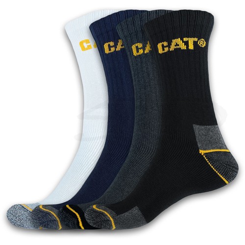Cat caterpillar real - caterpillar,