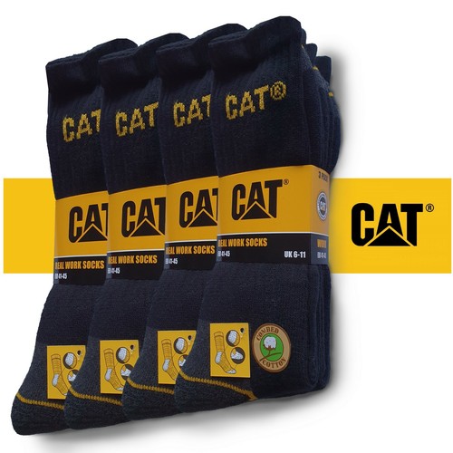 Cat caterpillar paar - cat,