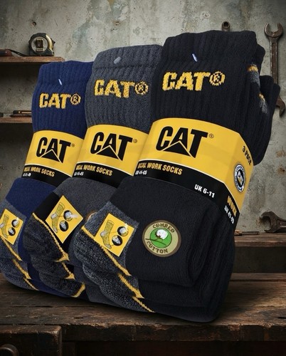 Cat caterpillar real - cat,